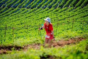 BIB: 
                            <button type="button" onclick="openModal(19161556)" class="btn btn-primary btn-sm float-right btn-popup" data-toggle="modal" data-target=".modal-high-quality">
                        <i class="fas fa-shopping-cart"></i> Add to Cart
                    </button>
                                            <button type="button" onclick="isThisMe(19161556, true)" class="btn btn-success btn-sm float-right btn-popup btn-isme hidden" data-toggle="tooltip" data-placement="bottom" title="นี่คือรูปของคุณใช่ไหม คลิกที่นี่เพื่อเอาเข้าอัลบั้ม">
                        <i class="fas fa-plus"></i> Add to album
                    </button>
                    <button type="button" onclick="isThisMe(19161556, false)" class="btn btn-warning btn-sm float-right btn-popup btn-isnotme hidden">
                        <i class="fas fa-ban"></i> Remove from album
                    </button>